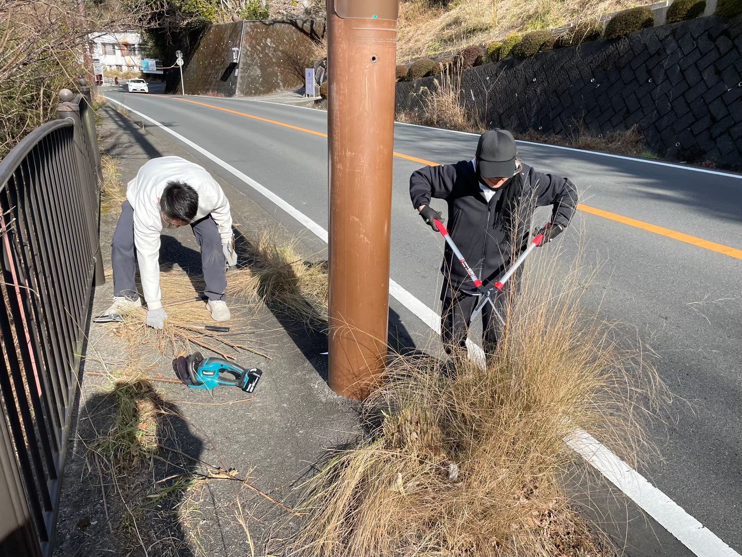 美化活動で整備された道路